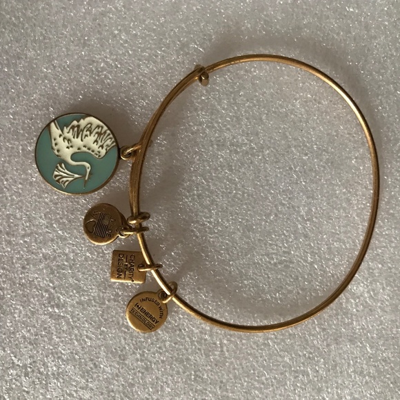 Alex and Ani Expandable Wire Bracelet - Picture 7 of 10